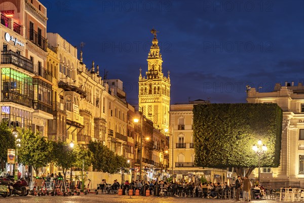 Restaurants in the Plaza de San Francisco and the Giralda bell tower of Santa Maria de la Sede Cathedral at dusk