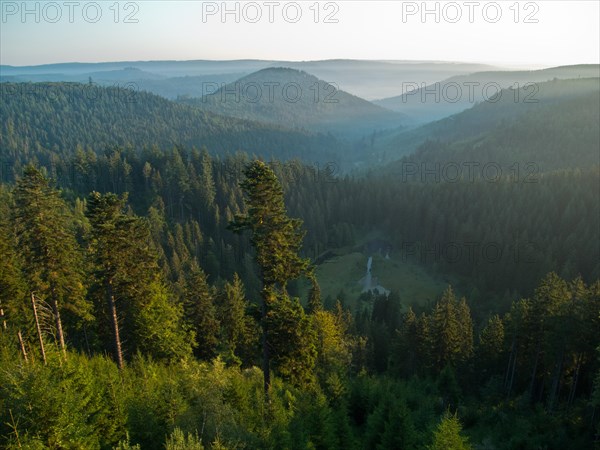 View of Ellbachsee