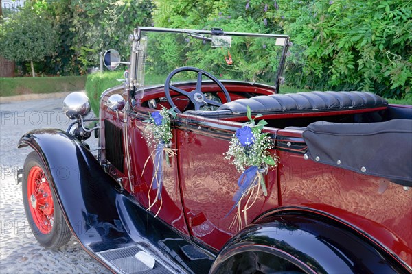 Antique Vintage Wedding Car Decorated with Flowers prepared to take the bride and groom to the church