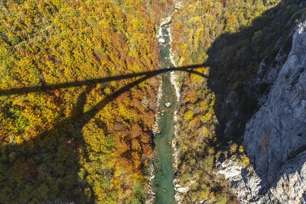 Shadow of the Tara Bridge