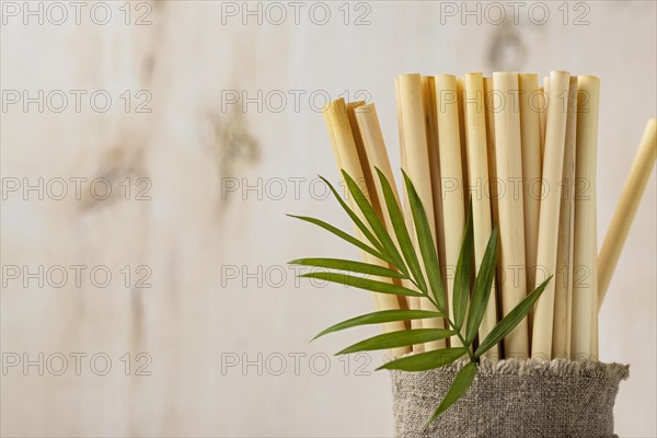 Leaves eco friendly environment bamboo tube straws