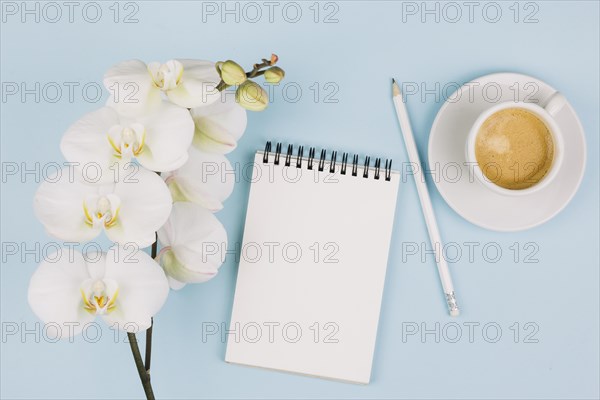 Tender white orchid flowers near spiral notepad pencil coffee cup against blue background