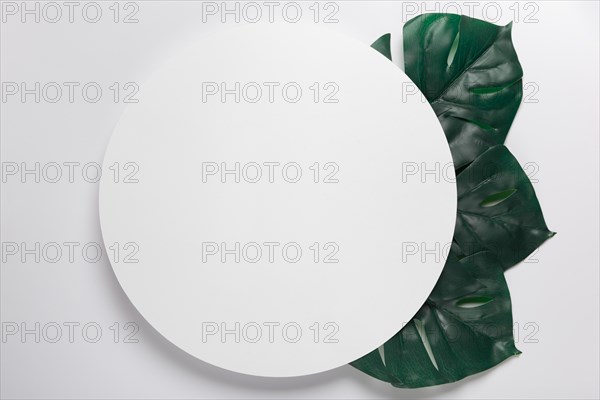 Handmade paper circle with leaves beside