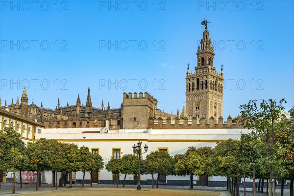 Patio de Banderas Square and the Cathedral of Santa Maria de la Sede in Seville