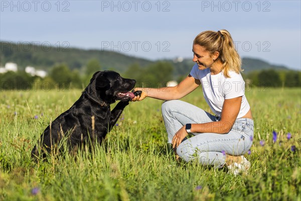 Portrait of a woman and a Labrador dog on a meadow