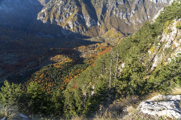 View from the lookout peak Curevac into the Tara Gorge