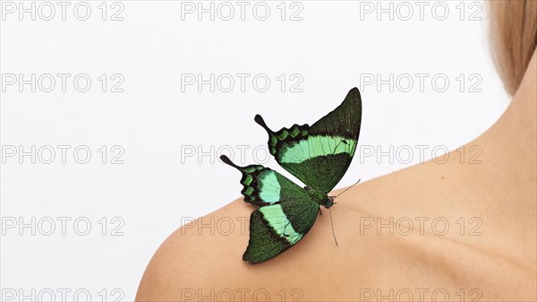 View butterfly shoulder