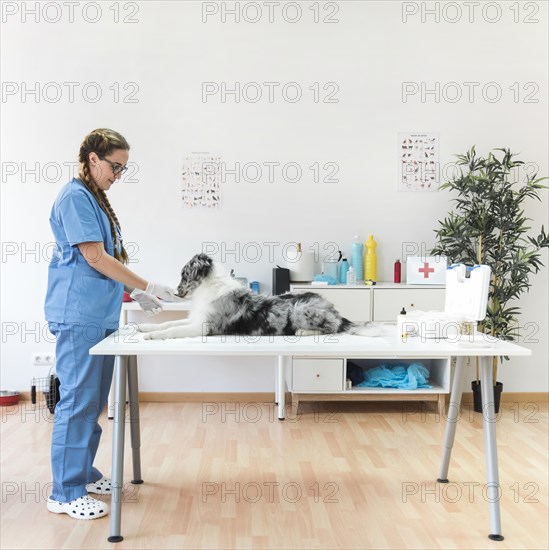 Side view smiling female veterinarian dog table clinic
