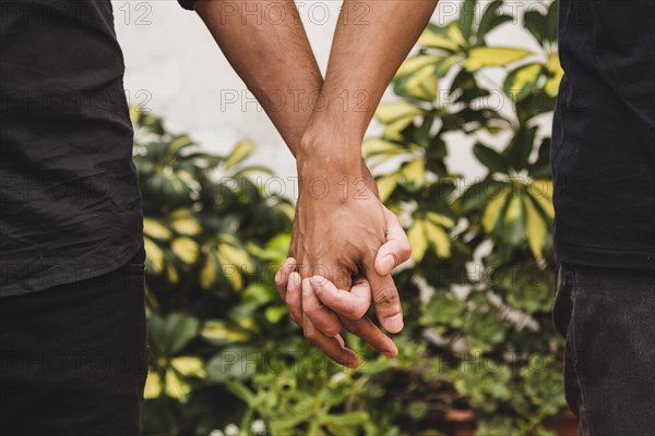 Men holding hands near plants