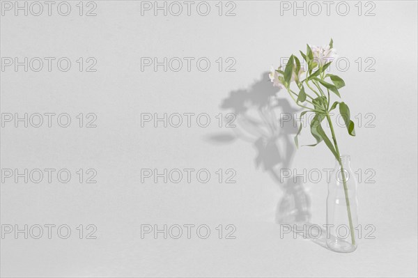 Blossom flowers vase table 5