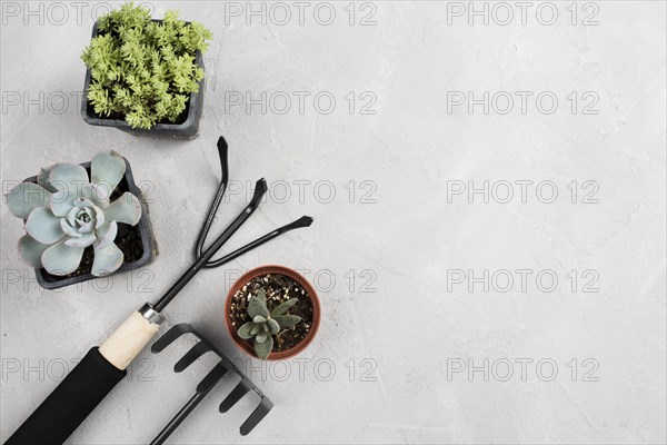 Flowerpots gardening tools white table