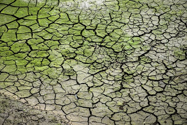 Dry soil with cracks due to prolonged drought