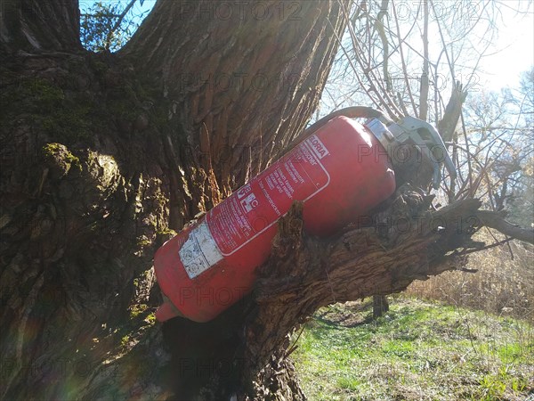 Illegally dumped rubbish in a nature reserve