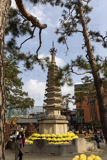 Buddha Relic Stupa