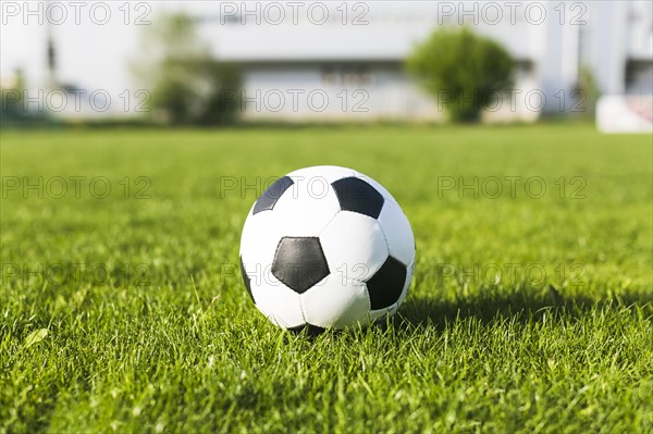 Football grass