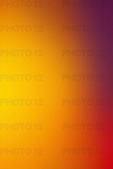 Vivid colors abstraction