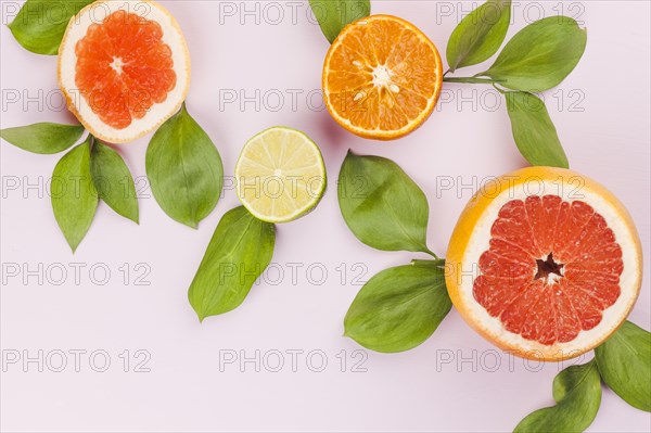 Slices fresh exotic fruits green foliage