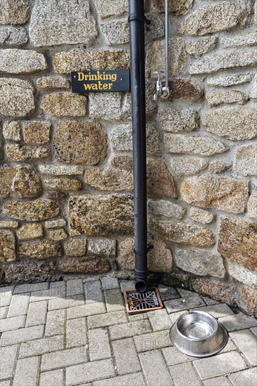 Water tap and dog bowl