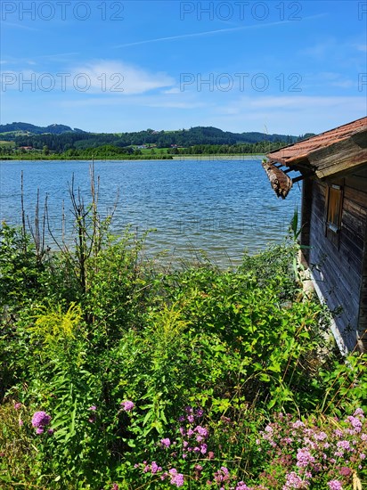 Boat hut on the lake with a gutter overgrown with moss