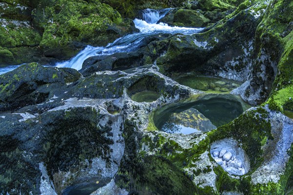 Natural pools on the river Crnojevic near Rijeka Crnojevica