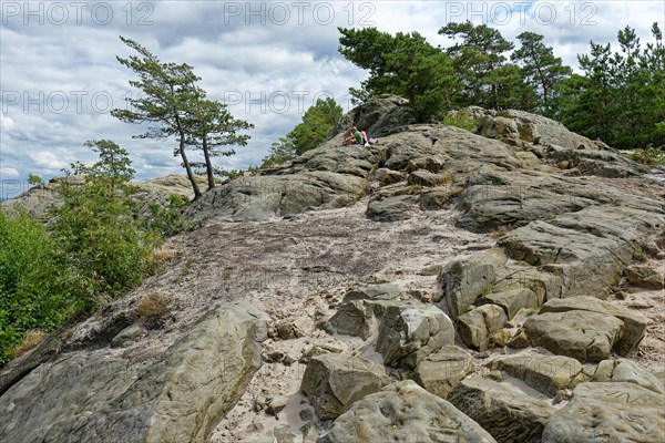 Rock formation at the Teufelsmauer near Timmenrode