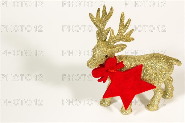 Golden reindeer on a white background. Christmas card