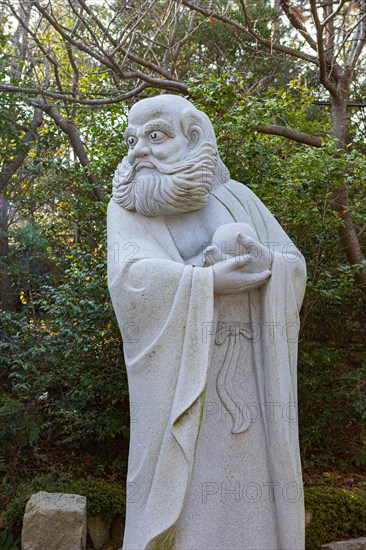 Bodhidharma Monk