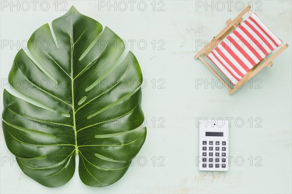 Tropical plant calculator