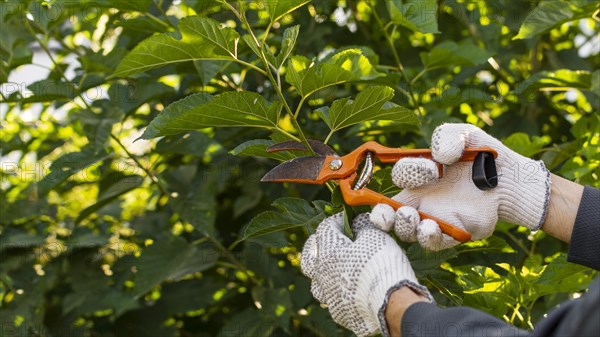 Close up gardener taking care plants