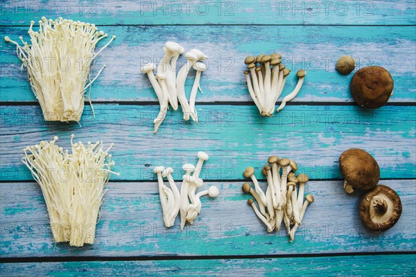 Various types raw healthy mushrooms arranged old wooden table