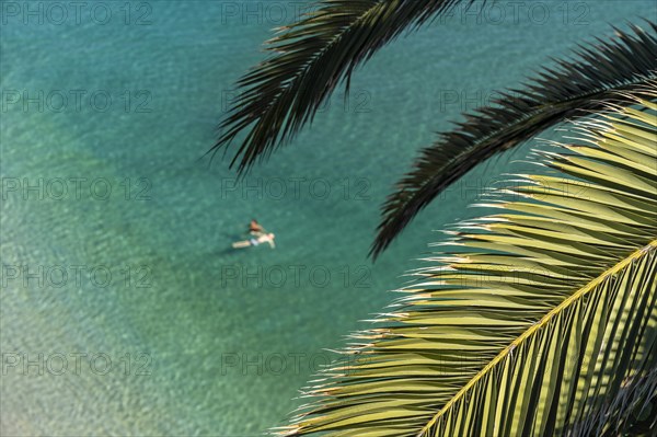 Palm tree and swimmer in the sea at the beach Playa de la Calahonda in Nerja