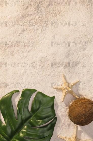 Green leaf with starfish beach