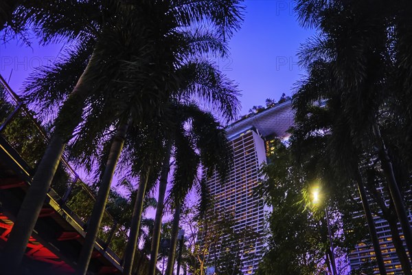 Rear view upshot of part Marina Bay Sands hotel hotel behind high palm trees