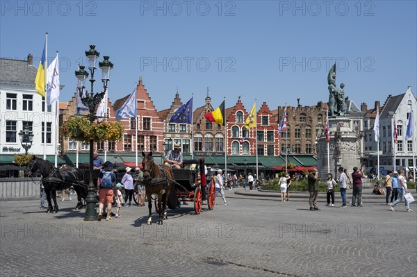 Horse-drawn carriage for tourists