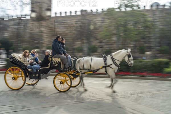 Horse-drawn carriage with tourists in the old town of Seville Andalusia