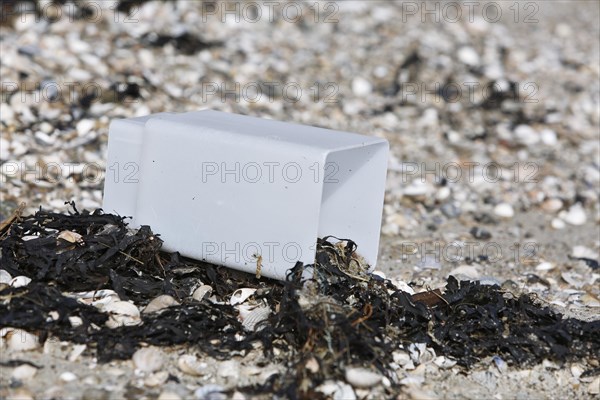 Marine litter washed up on the beach