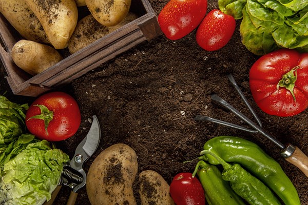 Top view tomatoes with potatoes veggies