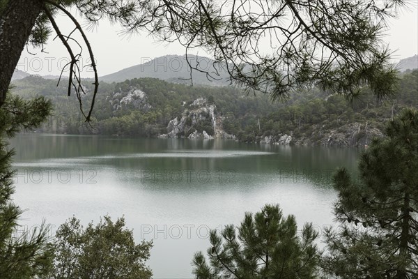 Panoramic view nature