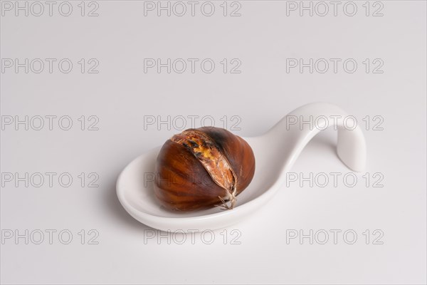 Seasonal chestnuts harvested from the field on a white background