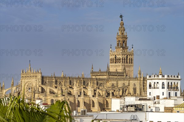 Cathedral of Santa Maria de la Sede in Seville