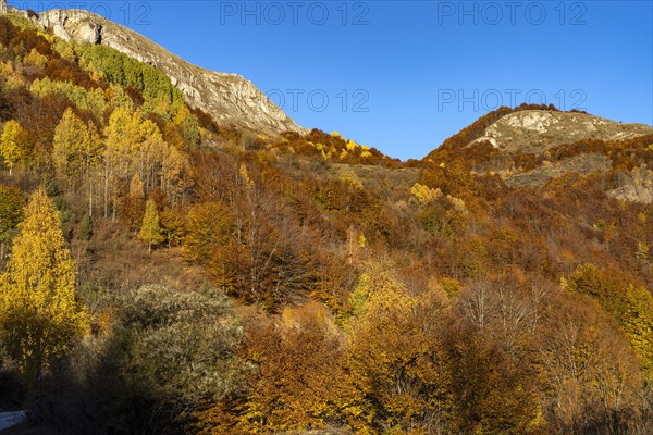 Autumn mountain landscape near Durmitor National Park