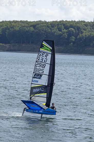 Foil Windsurfer