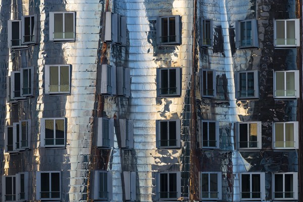 Gehry buildings