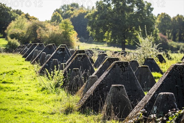 Westwall near Aachen