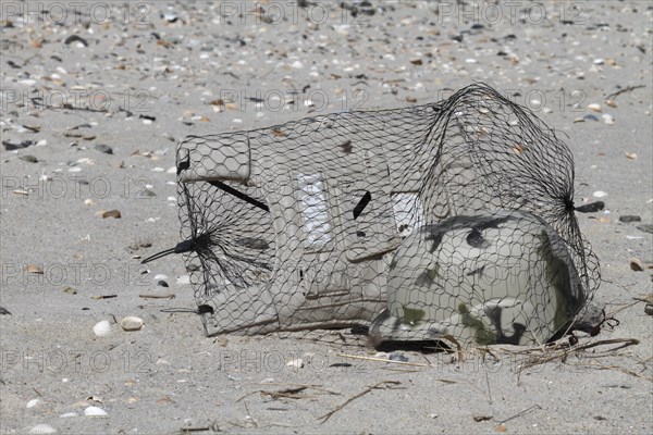 Marine litter washed up on the beach