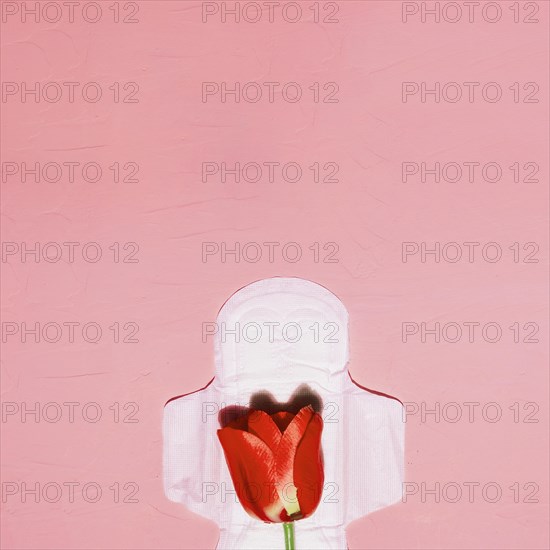 Top view sanitary towel with flowers