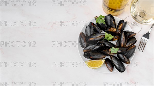 Fresh mussels dish with copy space