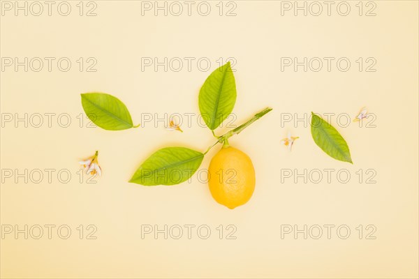 Top view lemon with leaves