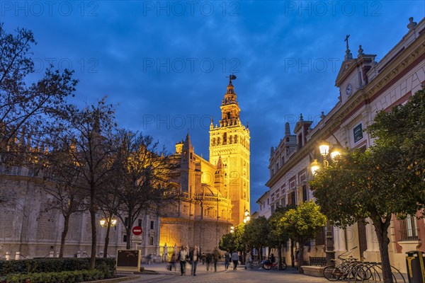 Santa Maria de la Sede Cathedral at dusk