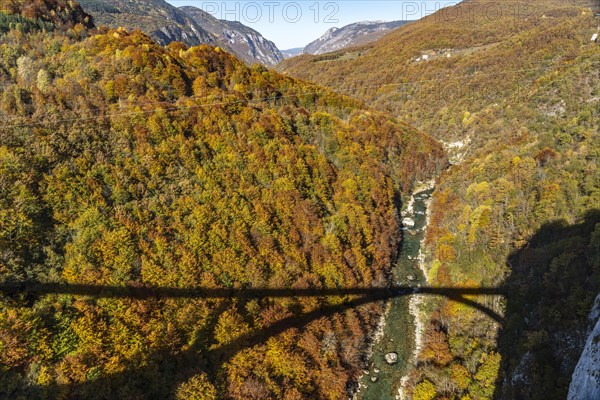 Shadow of the Tara Bridge